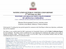 Certificación de la pesquería de pulpo común de Asturias Marine Stewardship Council Certification