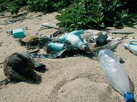 La contaminación de los mares por el plástico industrial